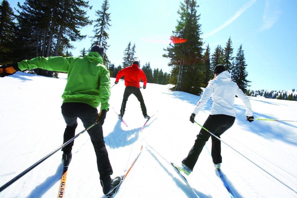 Drei Langläufer im Skating-Stil im Aufstieg zwischen Fichten