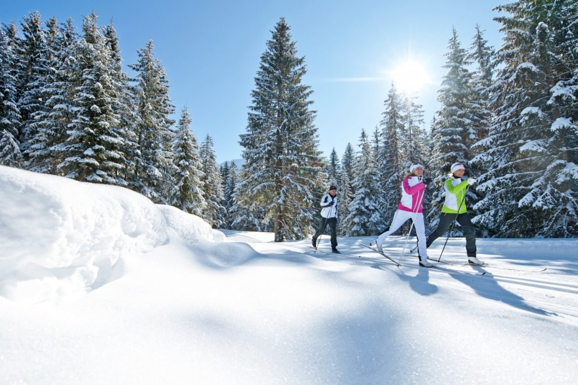 Drei Langläufer auf einer gespurten Loipe zwischen verschneiten Fichten in der Sonne