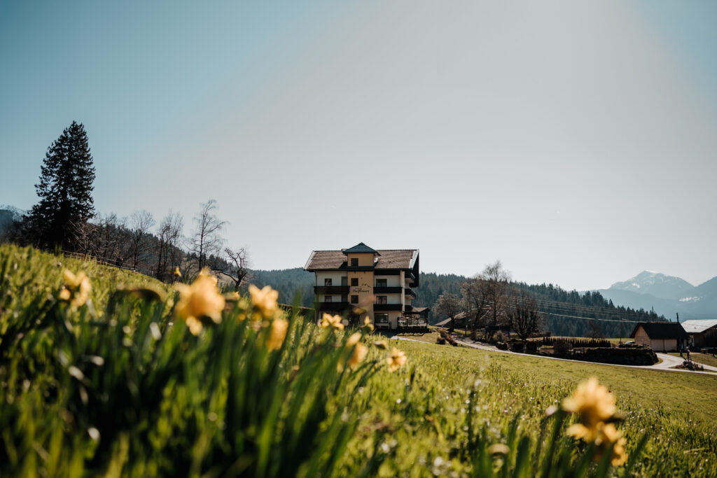 Das Berghotel Presslauer im Frühling, im Vordergrund blühende Narzissen auf der Wiese
