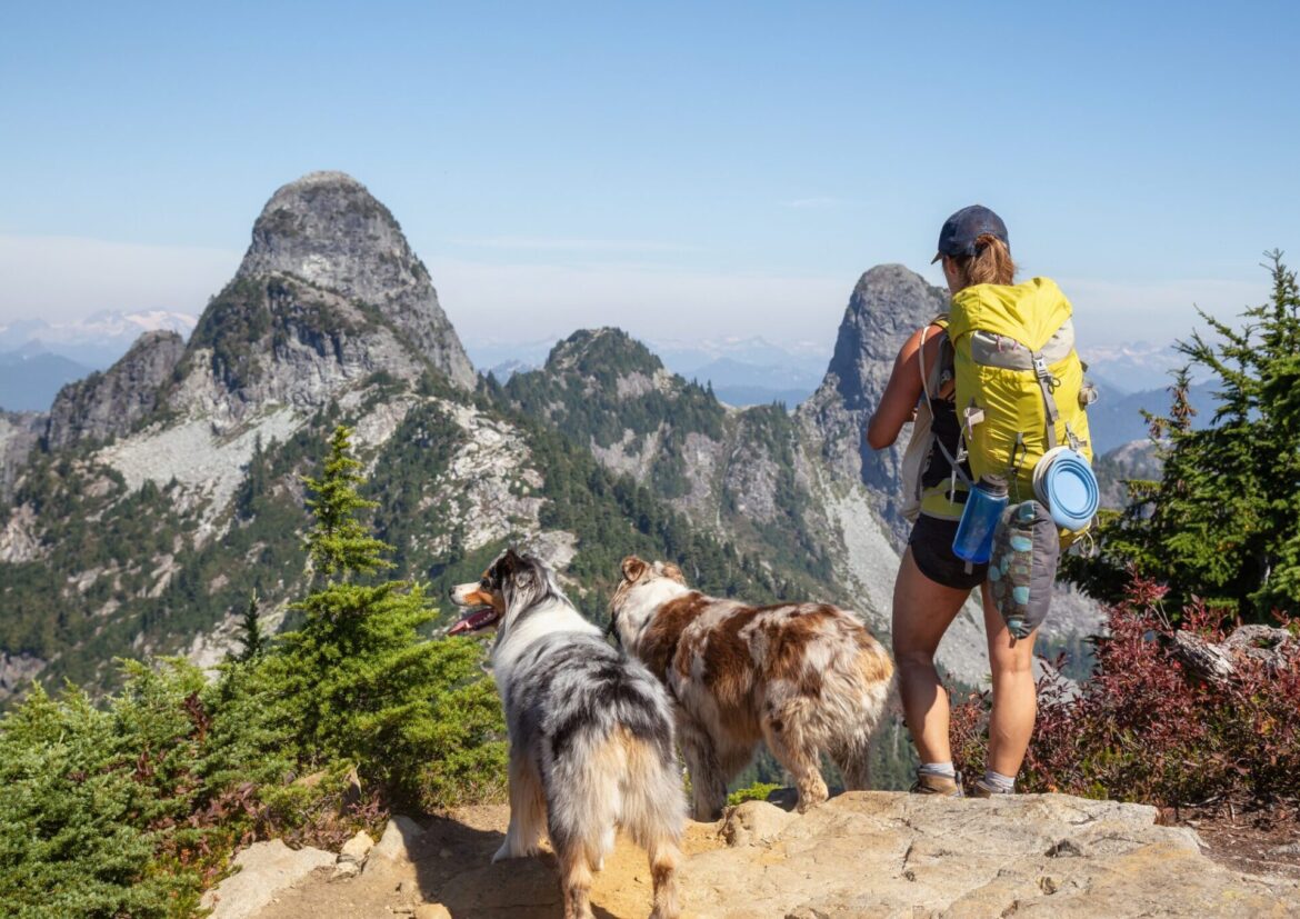 Wanderin mit zwei Hunden auf einem Felsen vor schroffen Berggipfeln