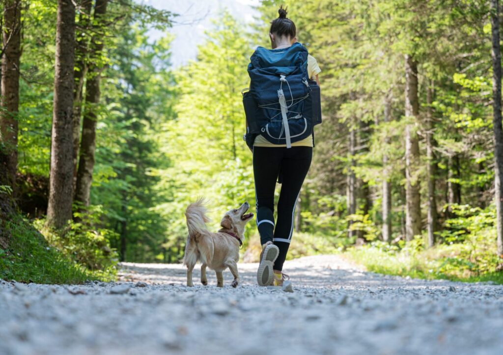 Wanderin mit Hund auf einem Schotterweg im Wald